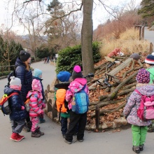Malý Vpřed - Výprava do zoo