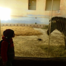 Výprava do ZOO