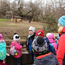 Malý Vpřed - Výprava do ZOO