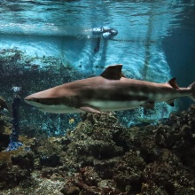 [Malý vpřed] Poklad