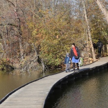 [Malý Vpřed] Listopadová výprava